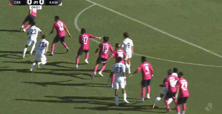 了解1xbet