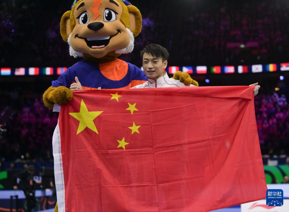 1xbet相关图片