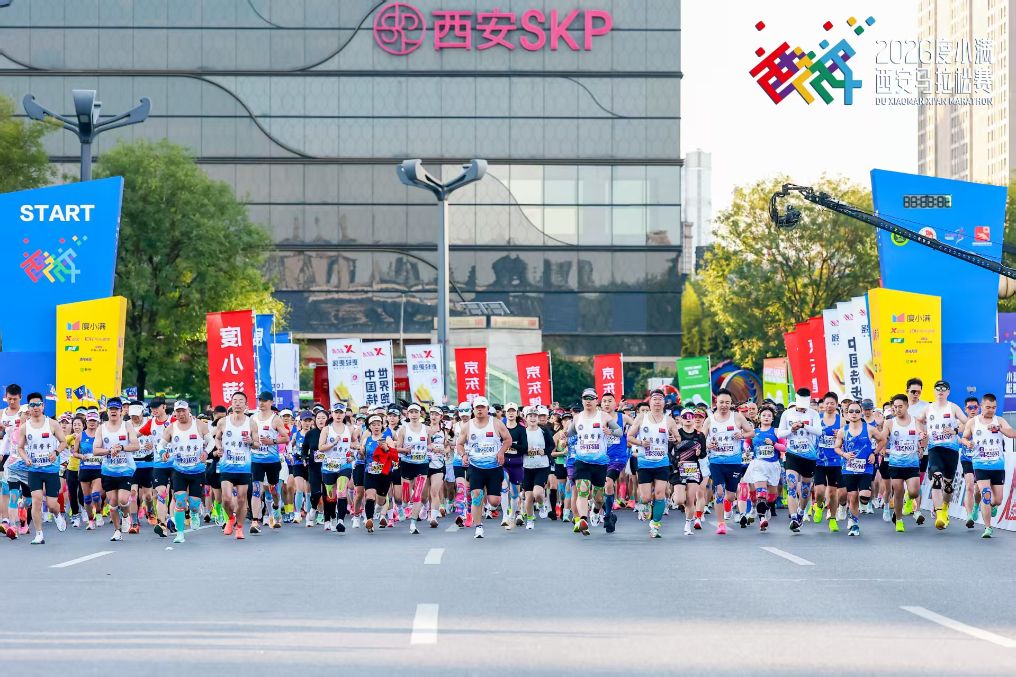 了解1xbet